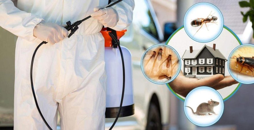 İncirliova Böcek İlaçlama