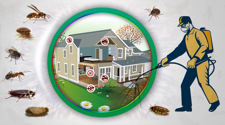 İncirliova Böcek İlaçlama