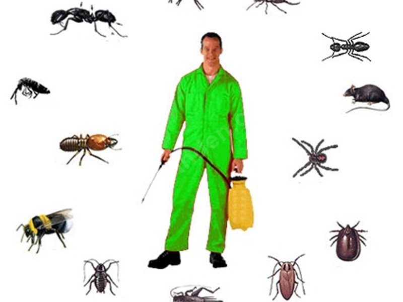 İncirliova Böcek İlaçlama